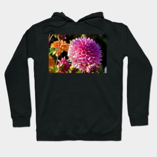 Canada. BC. Butchart gardens. Flowers of Autumn. Hoodie